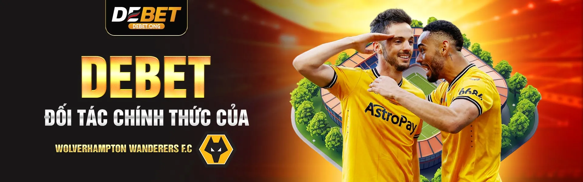 banner2-debet