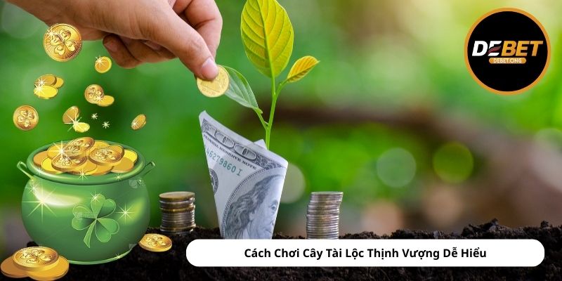 Cách Chơi Cây Tài Lộc Thịnh Vượng Dễ Hiểu