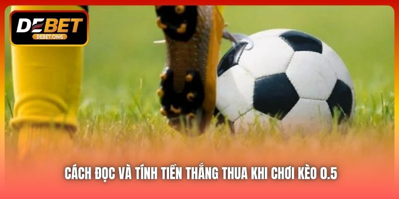 Cách đọc kèo chấp nửa trái (0.5)