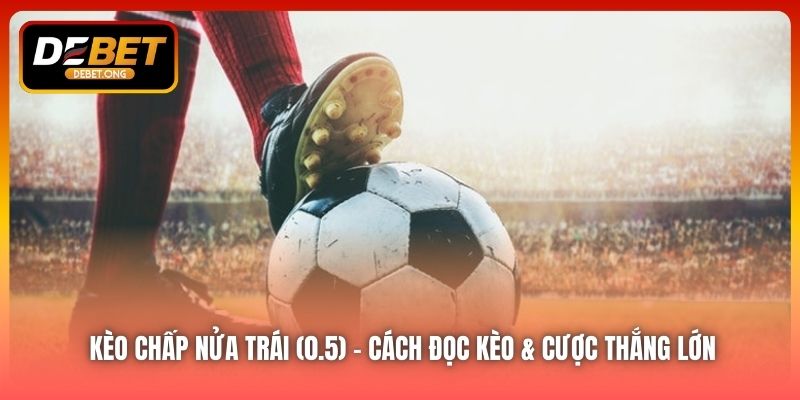 Kèo Chấp Nửa Trái (0.5) – Cách Đọc Kèo & Cược Thắng Lớn