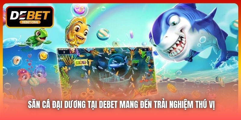 Săn cá đại dương tại DEBET có gì hấp dẫn đến vậy?