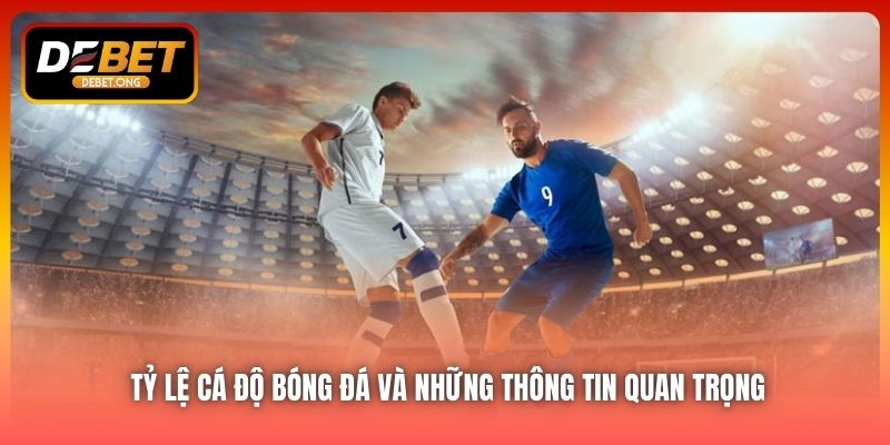 Tỷ lệ cá độ bóng đá là gì và vì sao quan trọng?